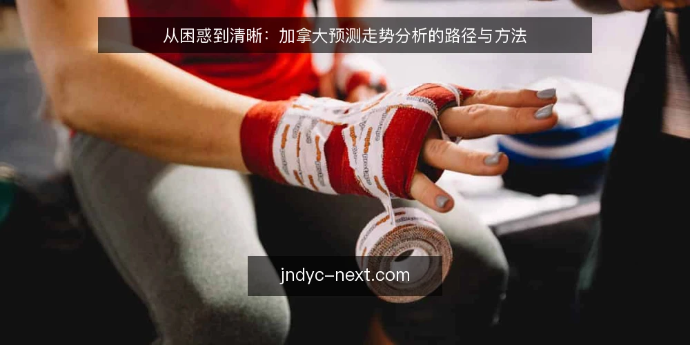 从困惑到清晰：加拿大预测走势分析的路径与方法 — 面对预测数据时的常见困境 配图