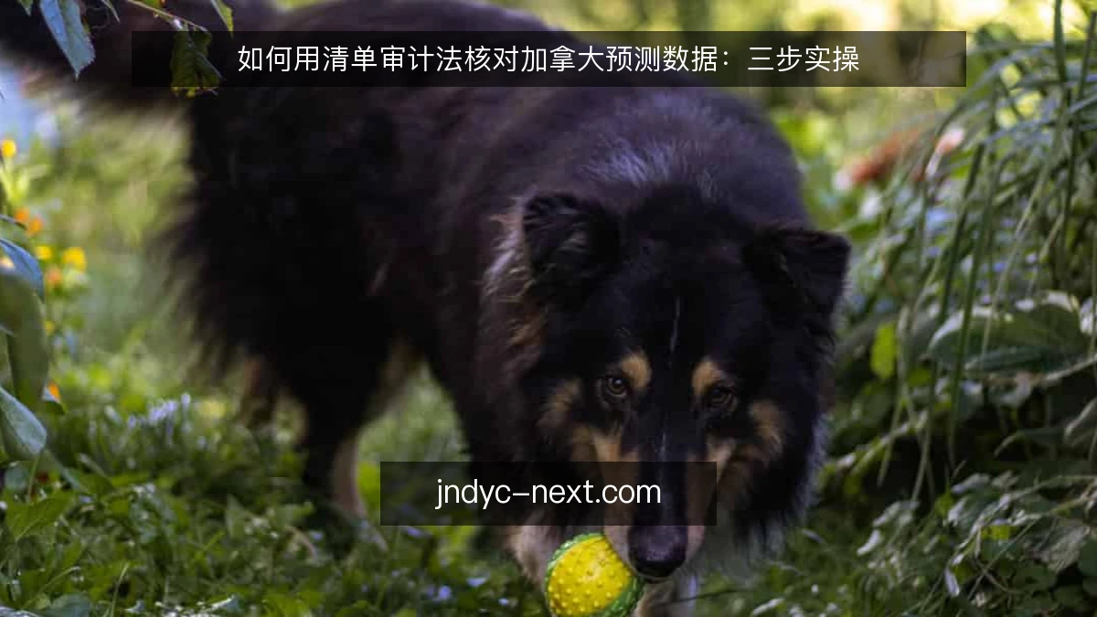 如何用清单审计法核对加拿大预测数据：三步实操