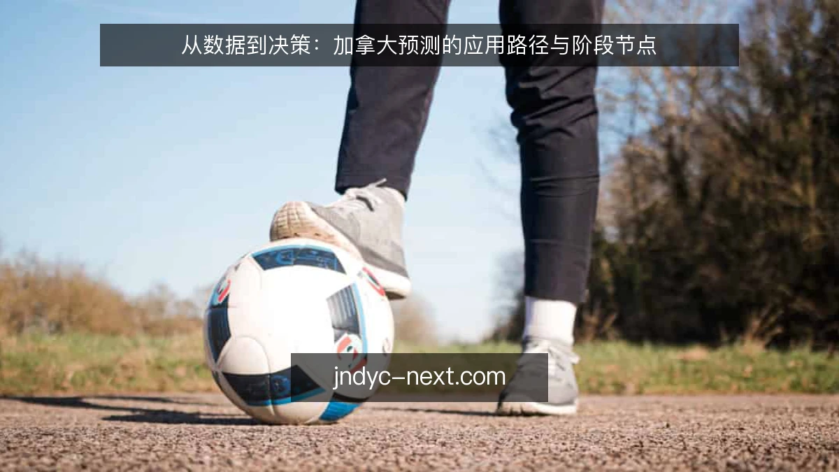 从数据到决策：加拿大预测的应用路径与阶段节点
