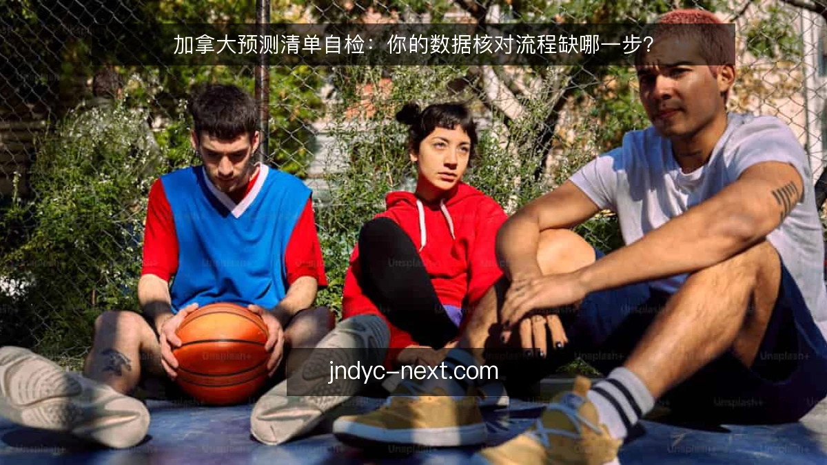 加拿大预测清单自检：你的数据核对流程缺哪一步？