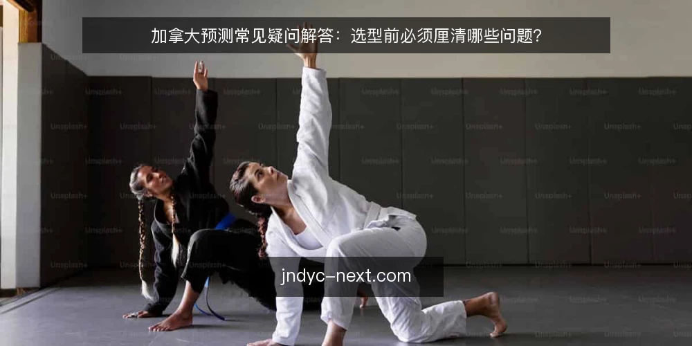 加拿大预测常见疑问解答：选型前必须厘清哪些问题？ — 我们到底需要加拿大预测解决什么问题？ 配图
